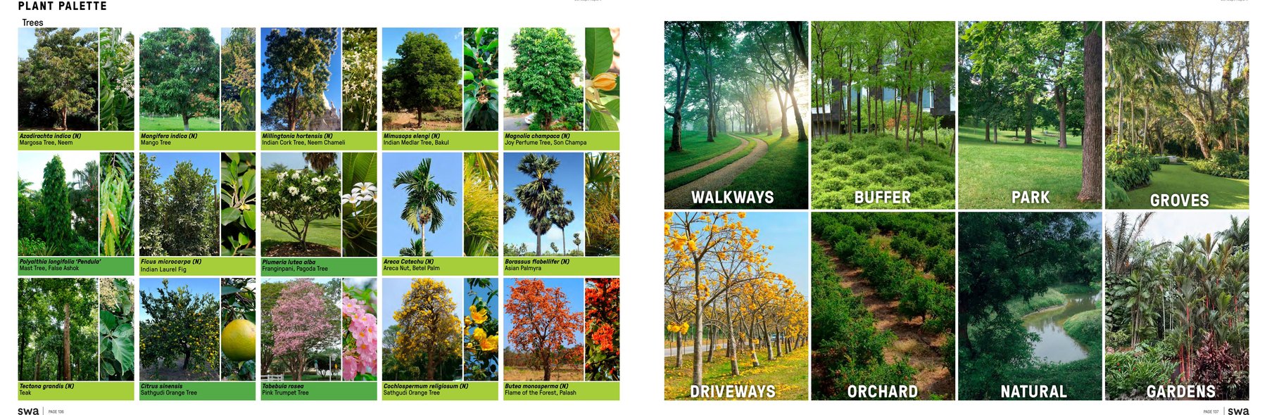 Landscape plant palette reference for Midori Vikarabad