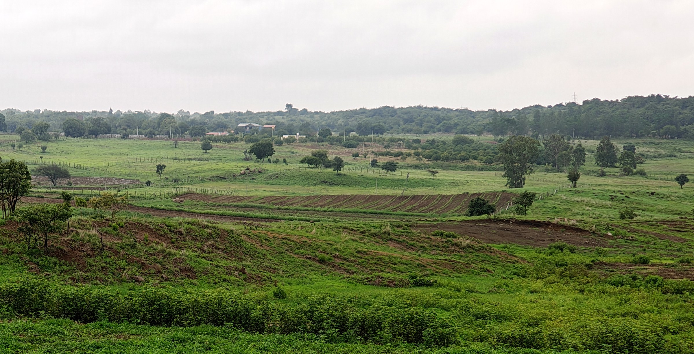 Greener existing site conditions at Midori Vikarabad